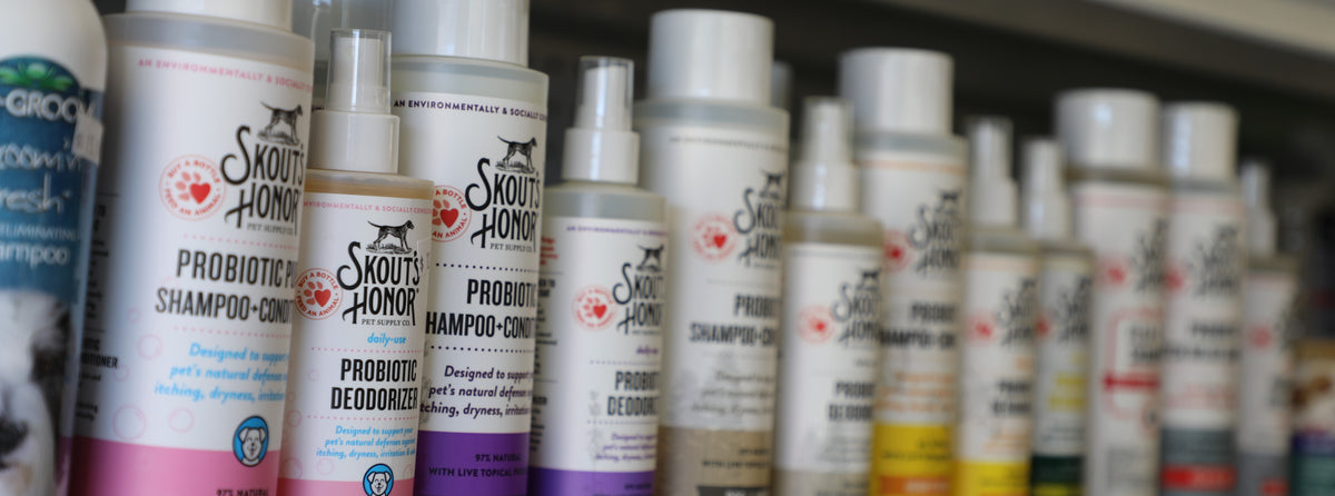 Dog Grooming Pet Paradise Harvard