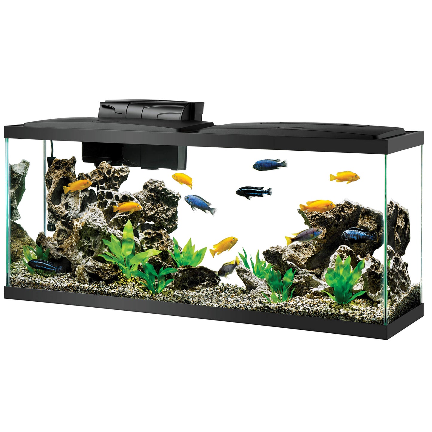Aqueon 55 Gallon Glass Aquarium