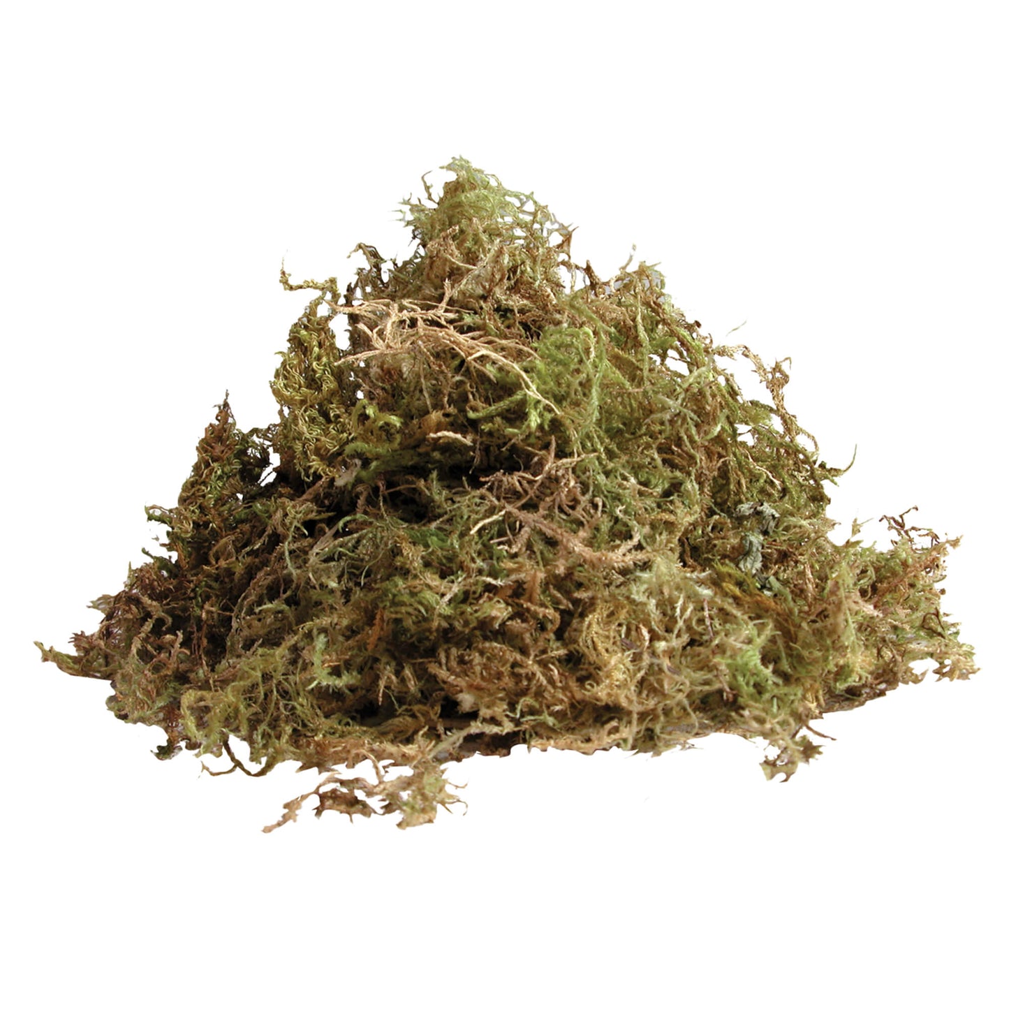 Zilla Terrarium Moss, 10 Quart