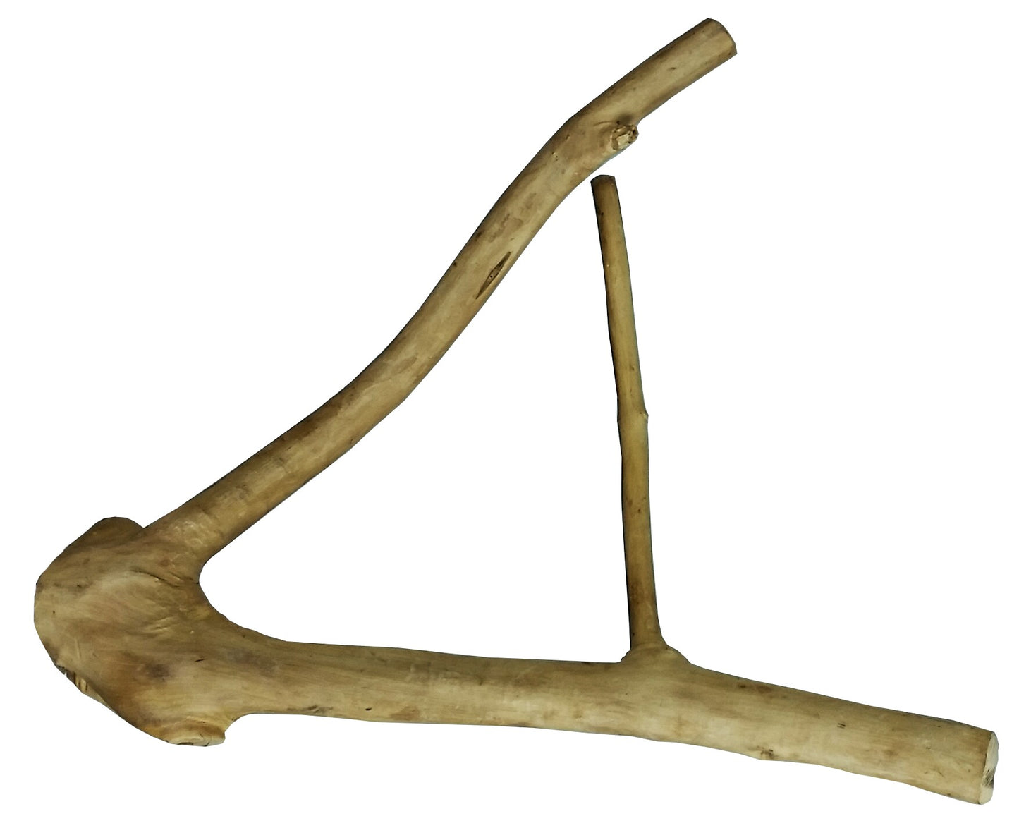 A&E Small Java Wood Multi Branch Perch