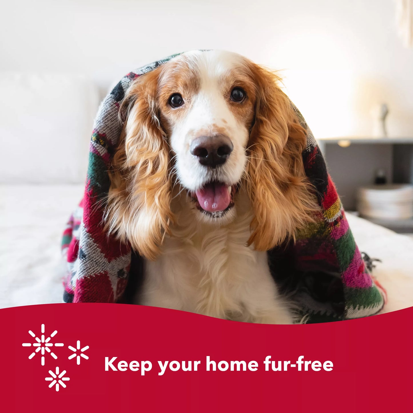 Safari Wire Pin Brush for Large Dogs