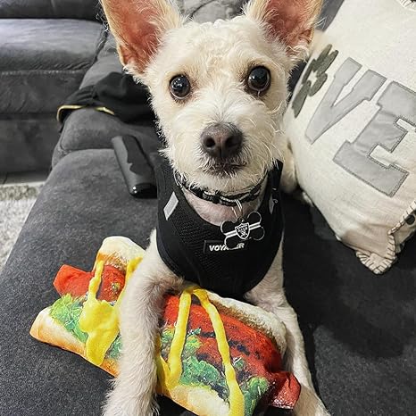 Doggijuana Get the Munchies Refillable Hot Dog Toy