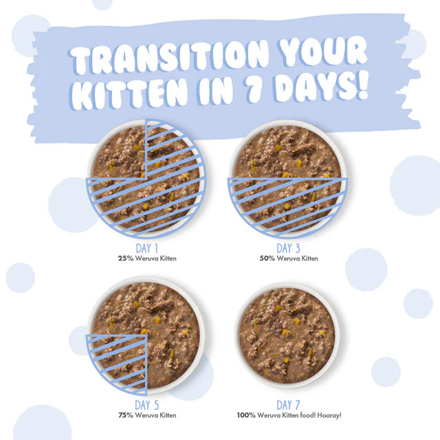 Weruva Chicken & Pumpkin Formula in Gravy Wet Kitten Food