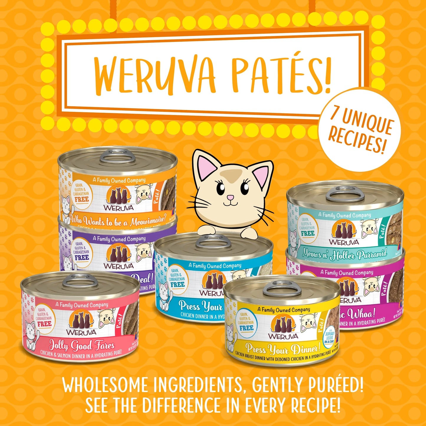 Weruva Pate Who Wants to be a Meowionaire? Chicken & Pumpkin Dinner in a Hydrating Puree