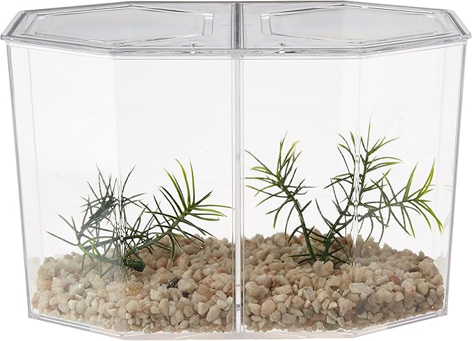 Lee's Betta Keeper Large w/Lid, Gravel and Plant