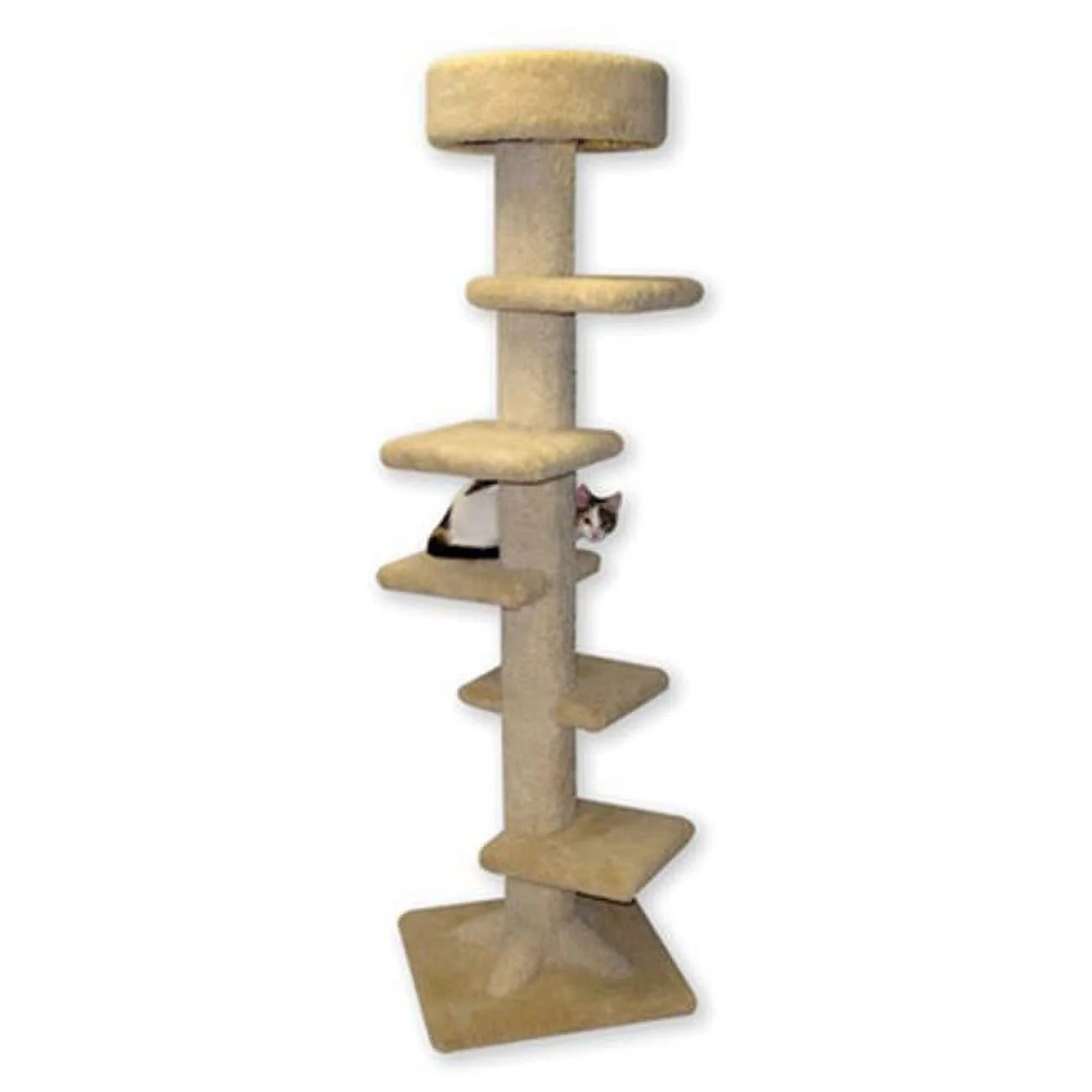 Beatrise Spiral Tower 7' Cat Tree – Pet Paradise Harvard