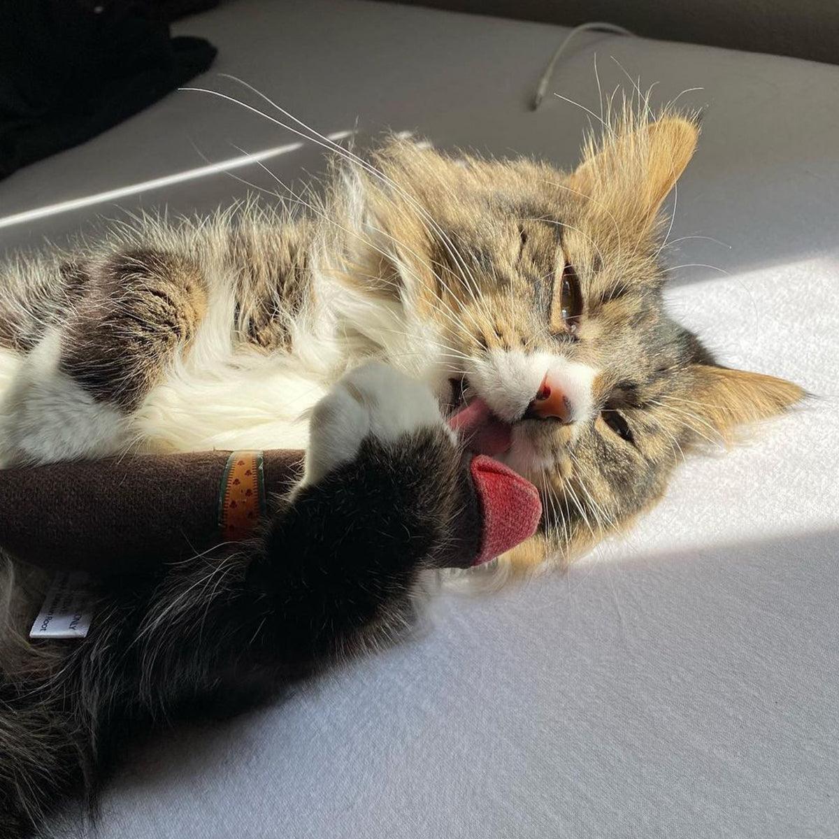 Meowijuana Catnip Cigar Cat Toy