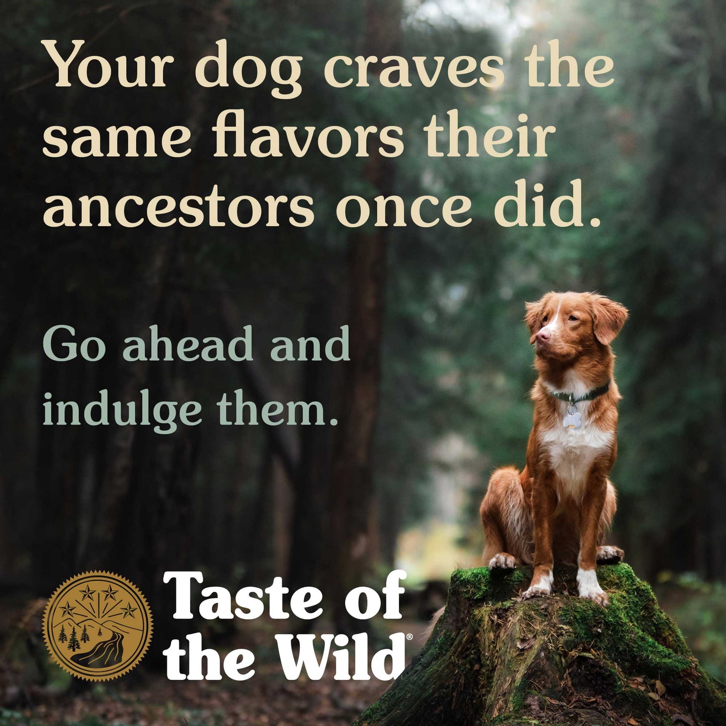 Taste of the Wild Pacific Stream Smoke-Flavored Salmon Grain-Free Dry Dog Food