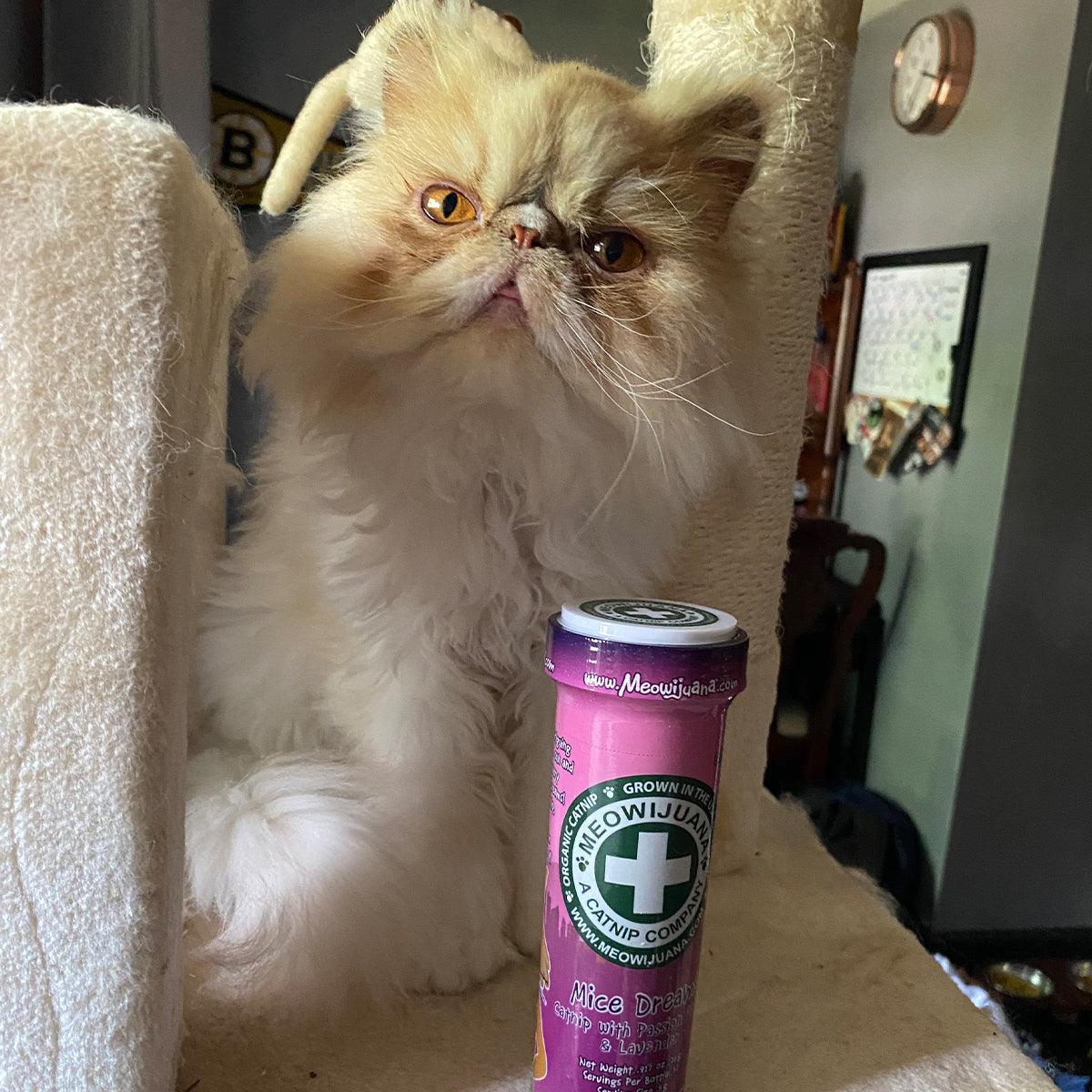 Meowijuana Mice Dreams Catnip with Passion Flower & Lavender Catnip