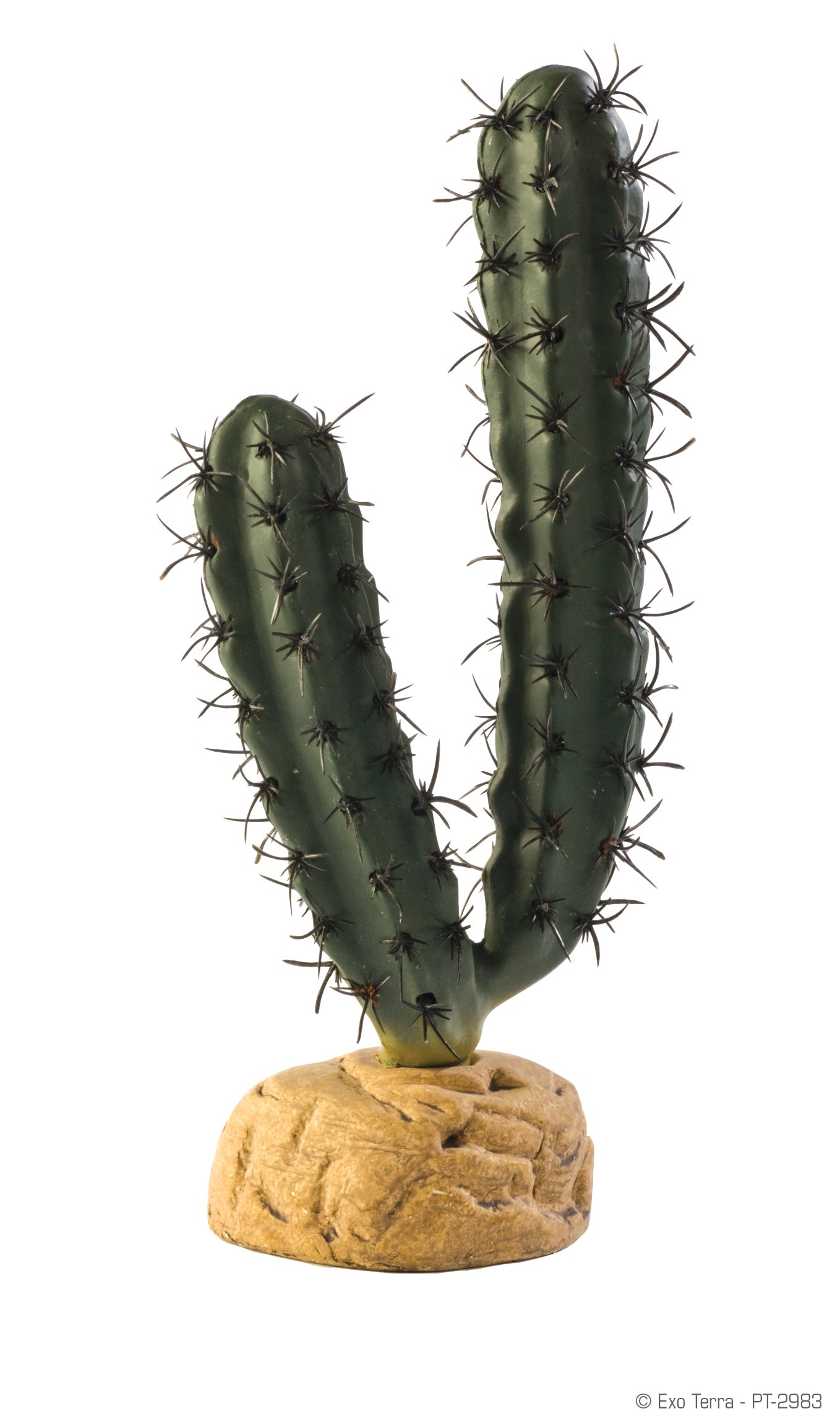 exo terra terrarium plants Exo Terra Finger Cactus Terrarium Plant