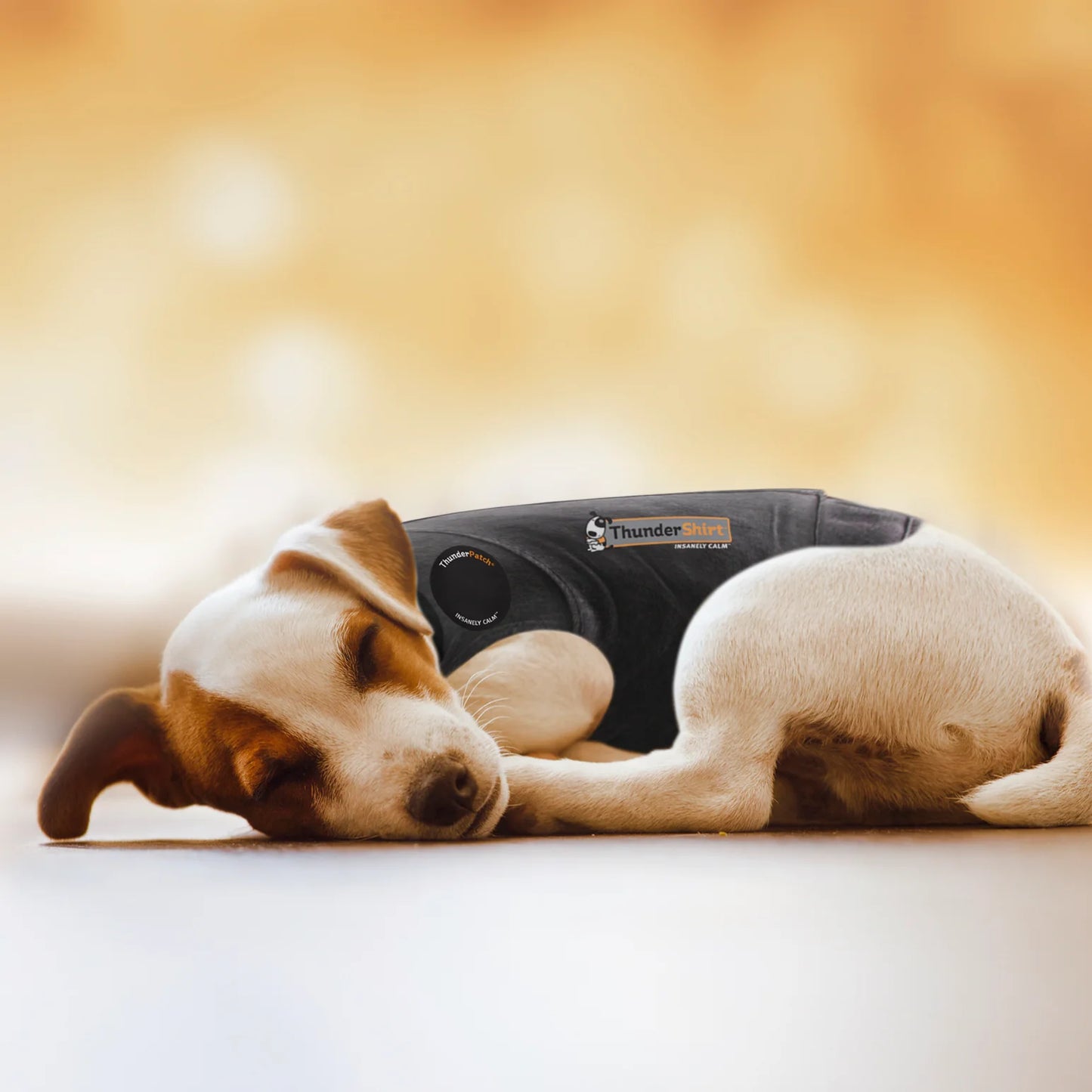 ThunderEssence Natural Essential Oil Calming Spray for Dogs