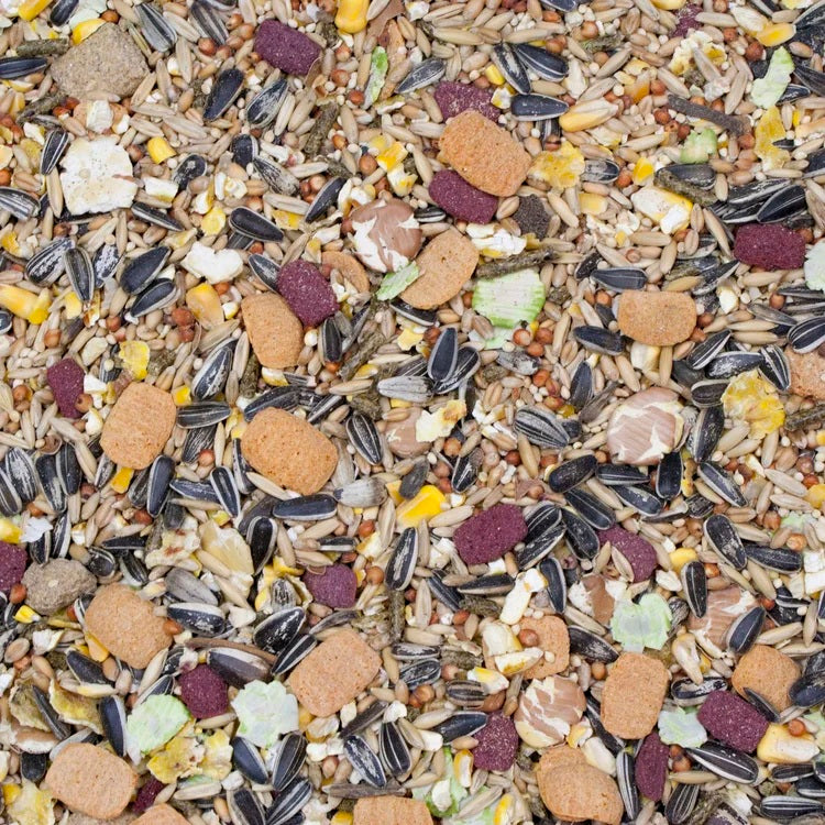 Higgins Vita Garden Hamster & Gerbil 2.5lb