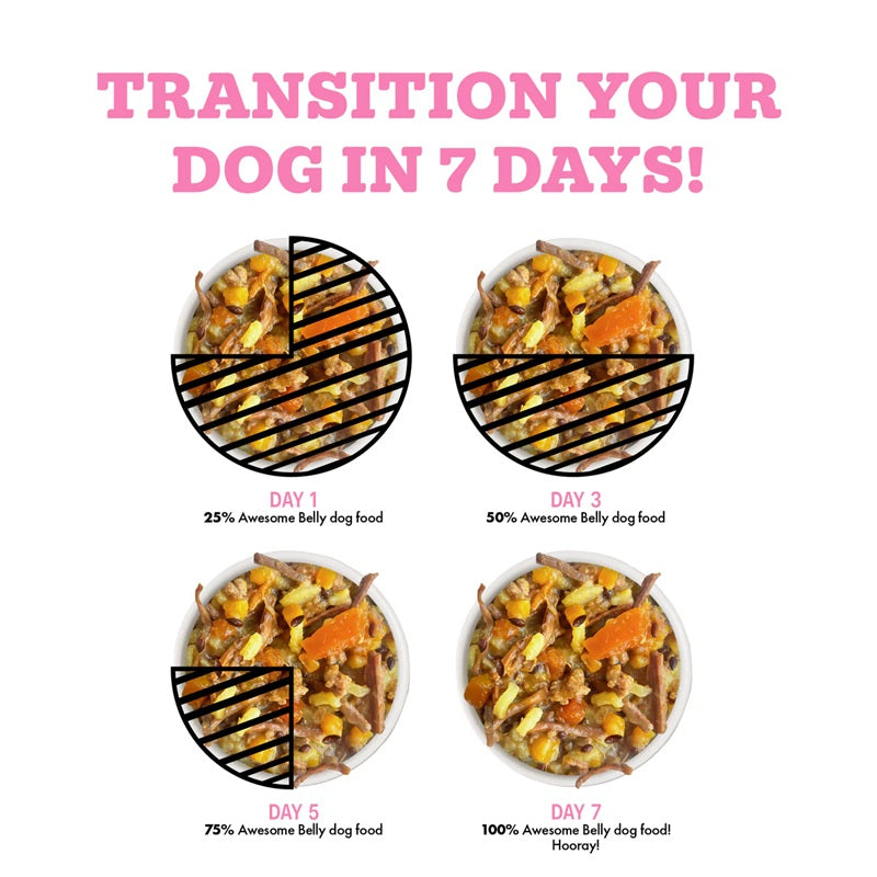 Weruva Awesome Belly Beef, White Rice & Pumpkin Recipe with Papaya, Turmeric & Ginger Canned Dog Food