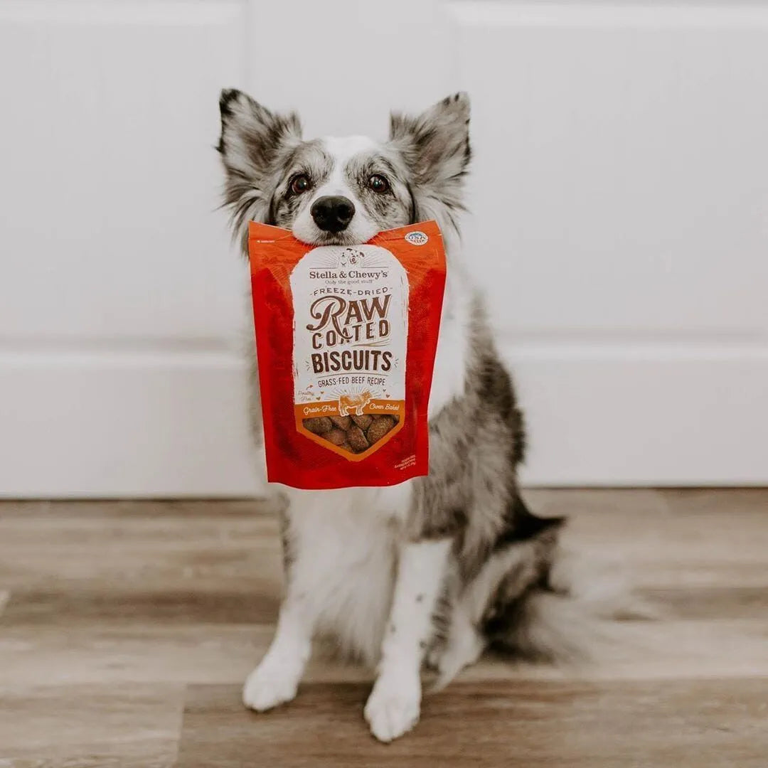 Stella & Chewy's Grass-Fed Beef Raw Coated Biscuits