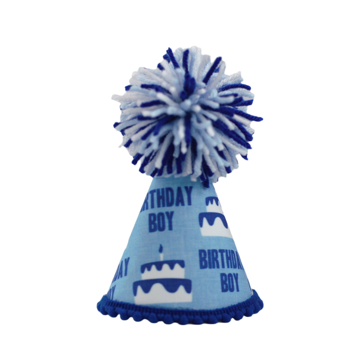 Pup Party Hats Birthday Boy Blue Party Hat: L