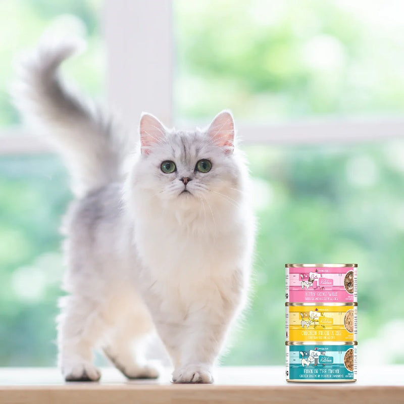 Weruva Cats in the Kitchen Kitty Gone Wild Wild Salmon Recipe Au Jus