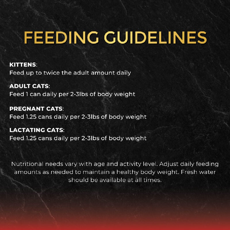 Fussie Cat Black Label Tuna with Salmon Formula in Gravy Wet Cat Food, 2.82oz