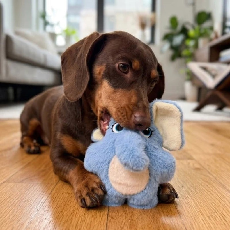 KONG Snuzzles Elephant Dog Toy Small