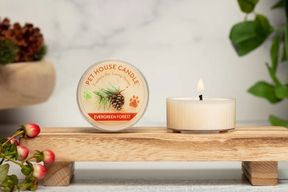 Pet House Pecan Pie Plant-Based Soy Wax Mini Candle 1.5 oz