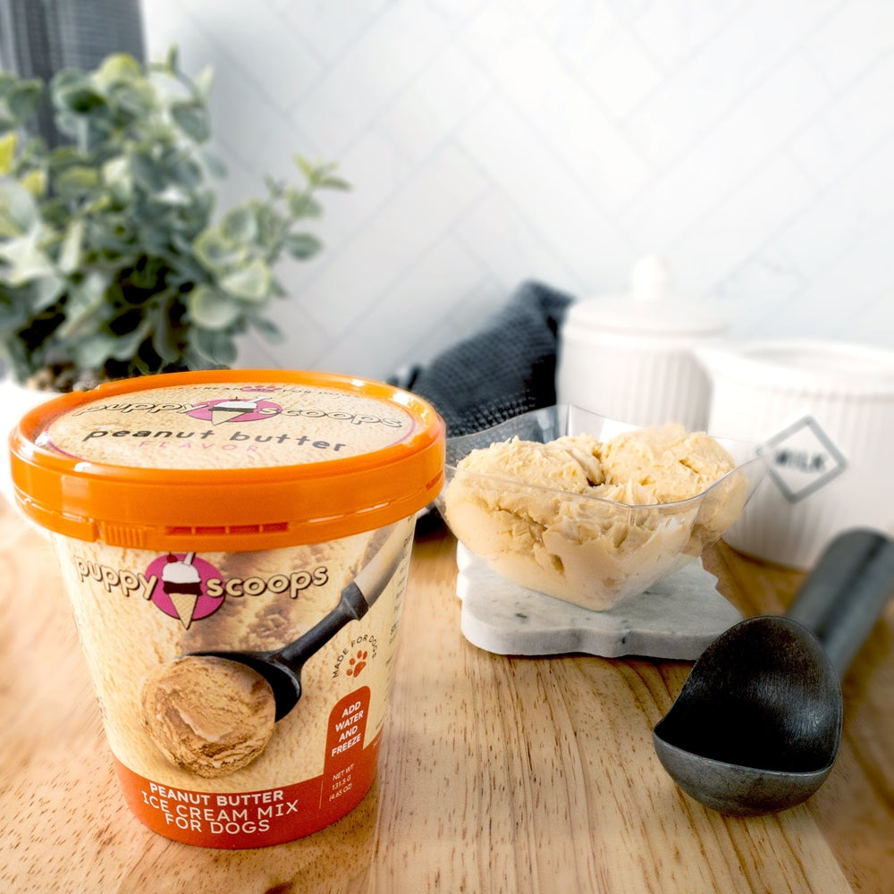 Puppy Cake Peanut Butter Ice Cream Mix for Dogs 4.65 oz