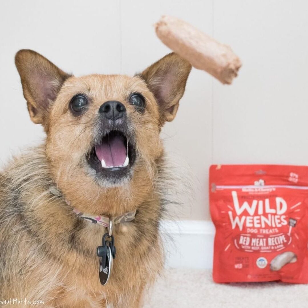 Stella & Chewy's Red Meat Wild Weenies