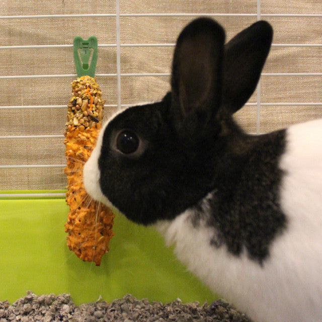 Vitakraft Crunch Sticks Carrot & Honey Rabbit Treat
