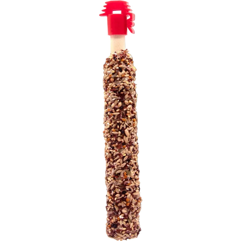 Higgins Sunburst Gourmet Treat Sticks Honey & Berries for Canary & Finch 2.1 oz