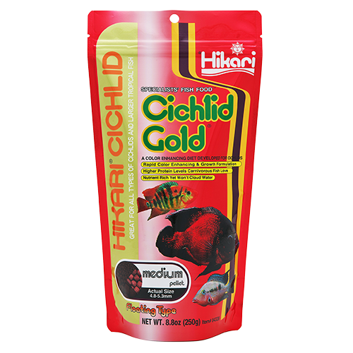 Hikari Cichlid Gold Medium