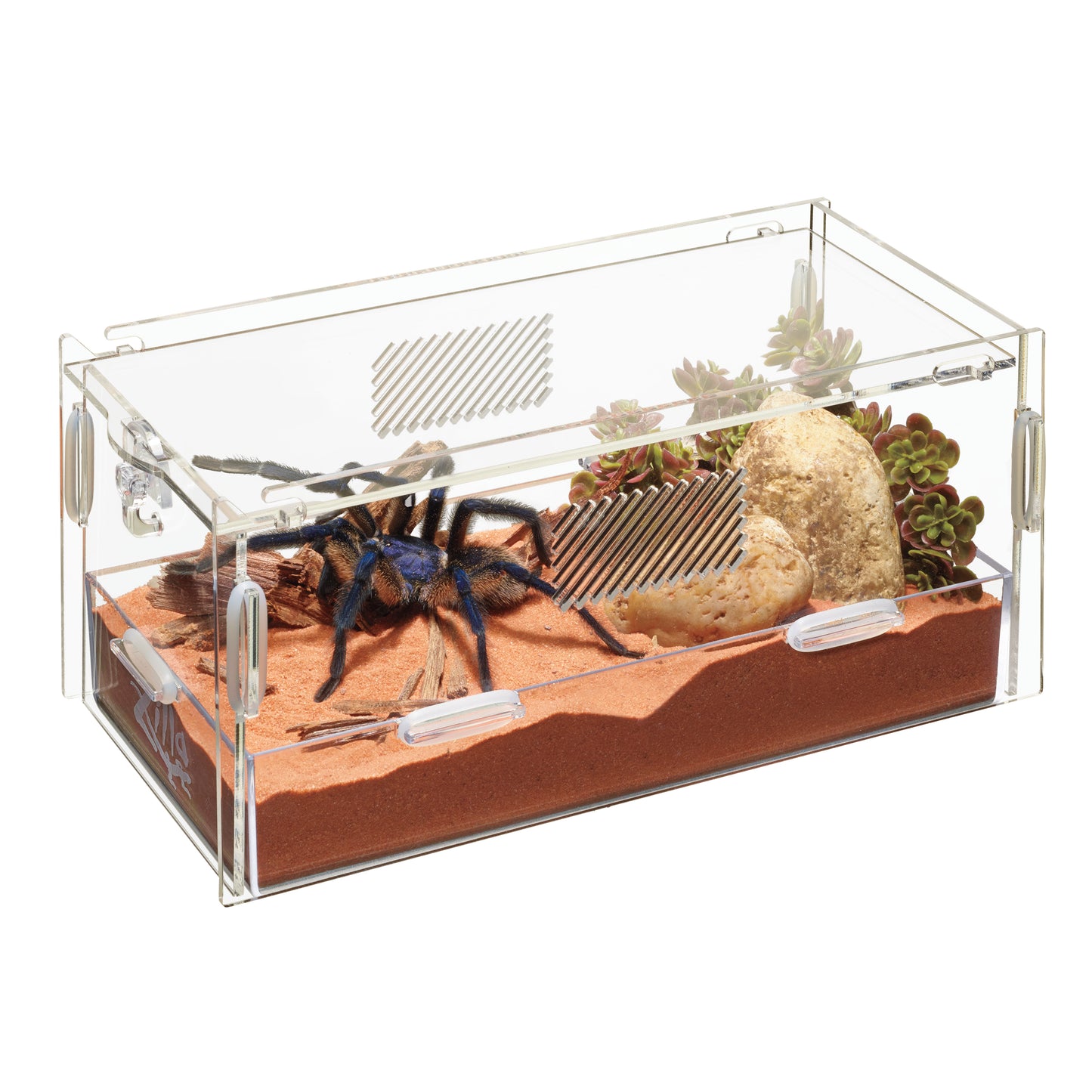 Zilla Micro Habitat Terrestrial Small
