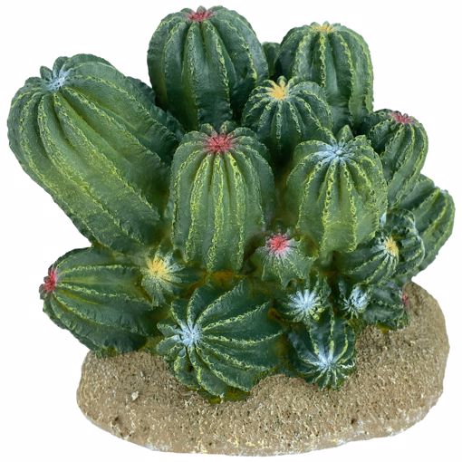 Komodo Cactus Barrel Reptile Ornament