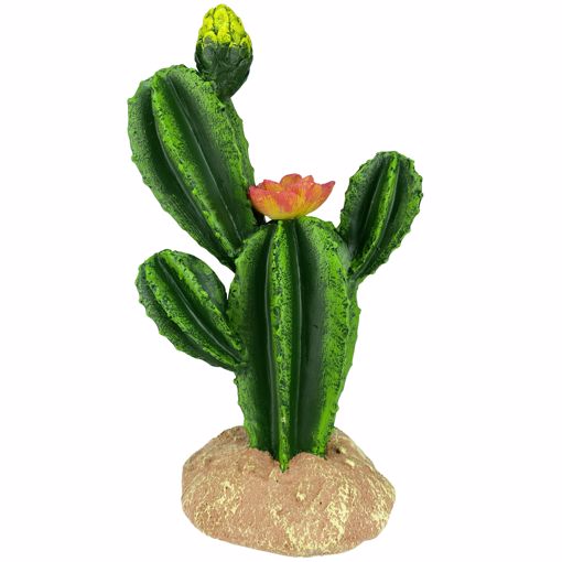 Komodo Cactus Flower Reptile Ornament