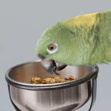 Load image into Gallery viewer, Kaytee Food from the Wild Natural Snack Large Pet Bird 3 oz.
