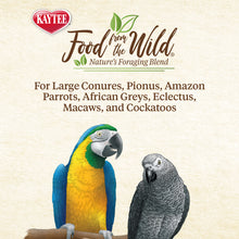 Load image into Gallery viewer, Kaytee Food from the Wild Natural Snack Large Pet Bird 3 oz.
