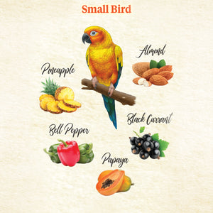 Kaytee Food From the Wild Natural Snack Small Pet Bird 3 oz.