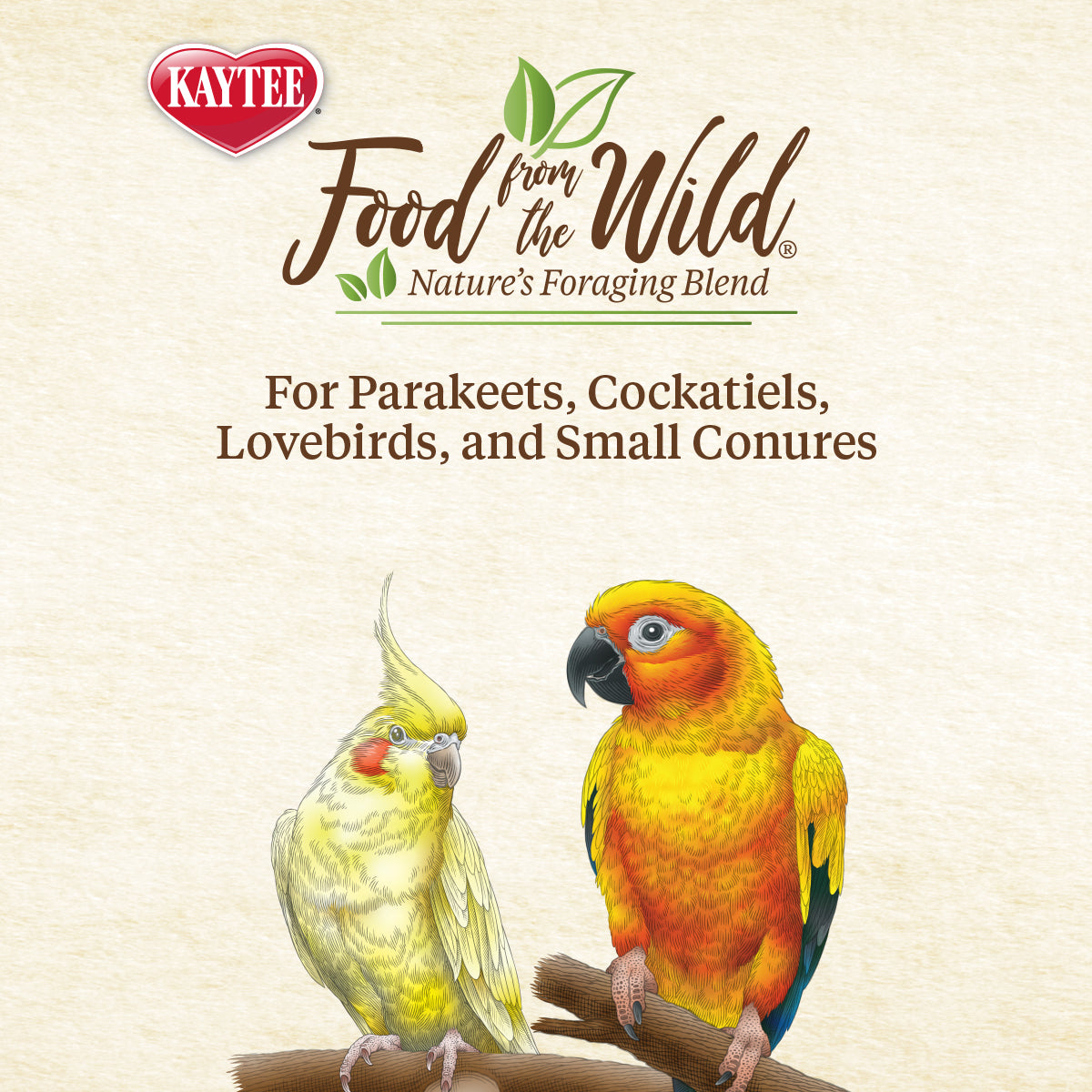 Kaytee Food From the Wild Natural Snack Small Pet Bird 3 oz.