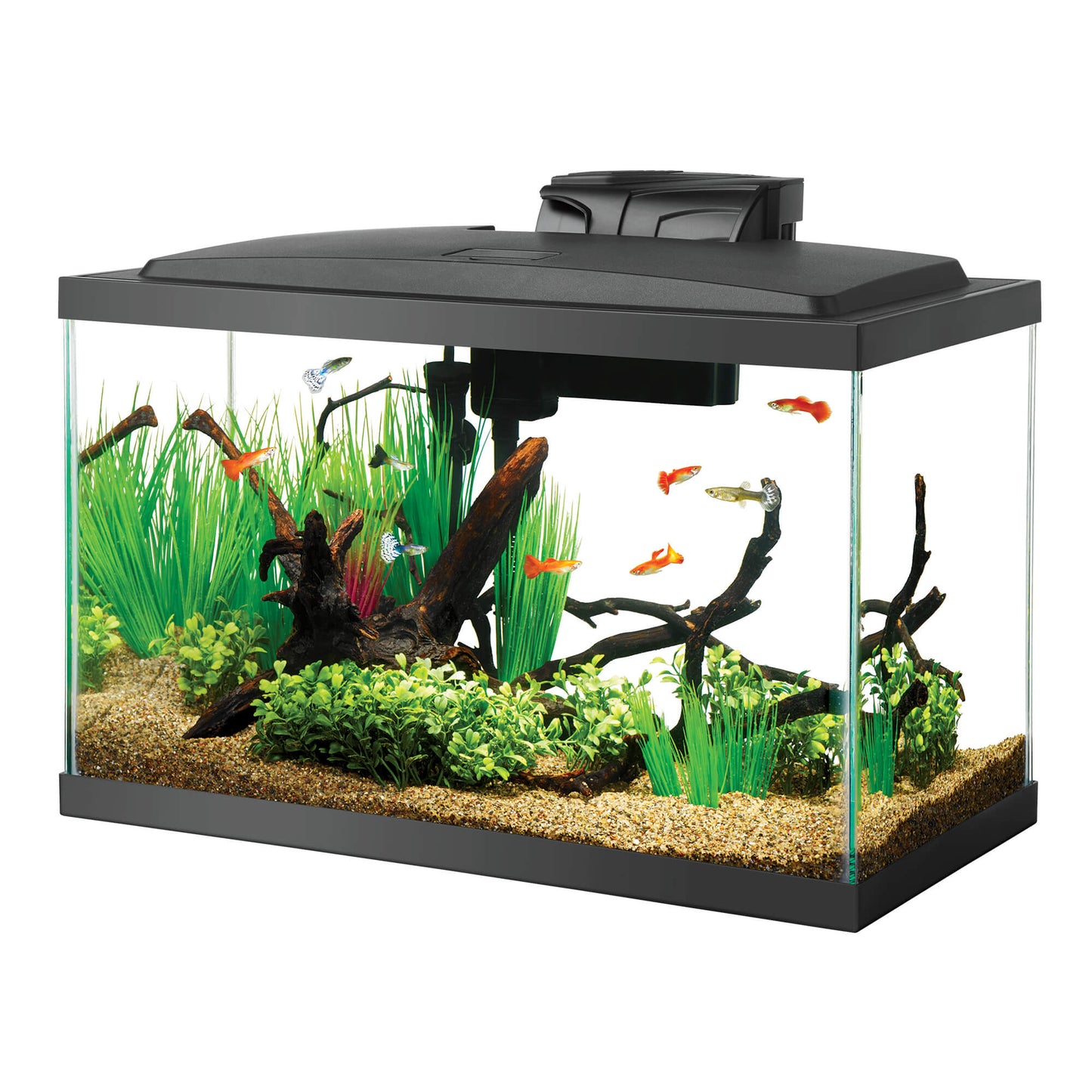 Aqueon 10 Gallon Glass Aquarium