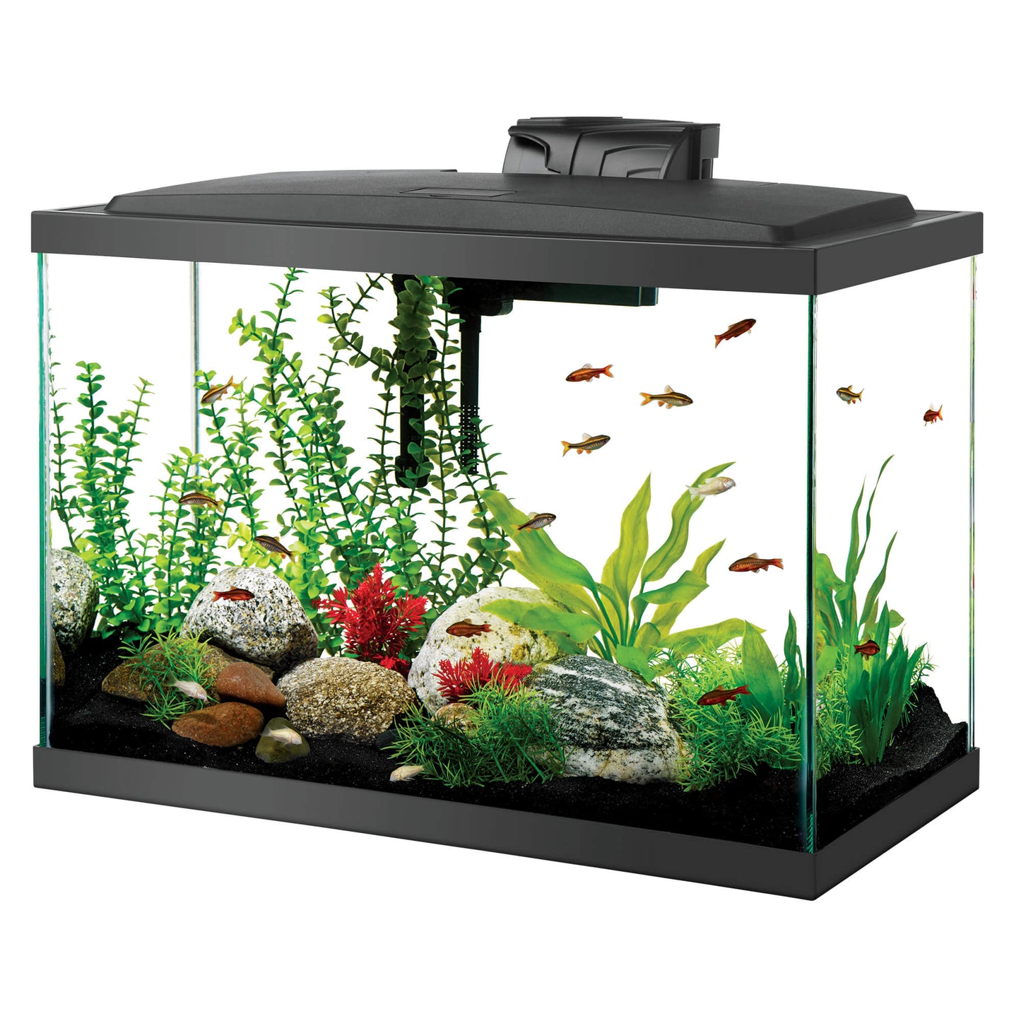 Aqueon 20 Gallon High Glass Aquarium