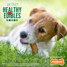 Load image into Gallery viewer, Nylabone Healthy Edibles All-Natural Long Lasting Chicken Dog Chew Treats Regular Size
