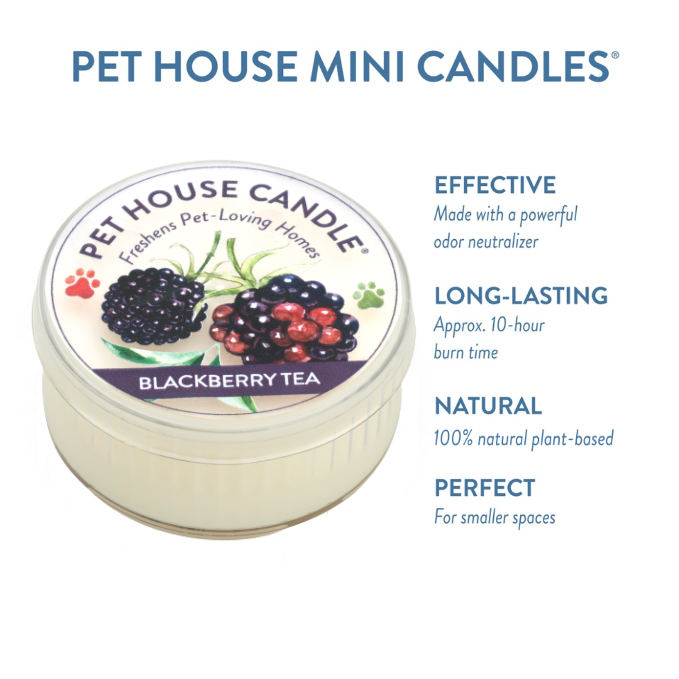 Pet House Blackberry Tea Plant-Based Soy Wax Mini Candle 1.5 oz