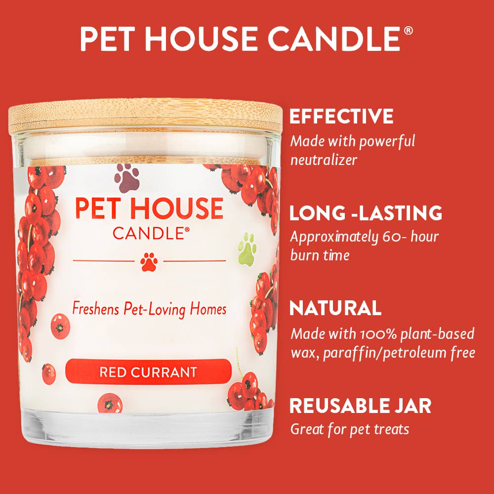 Pet House Candle Red Currant Plant-Based Soy Wax Candle 9 oz