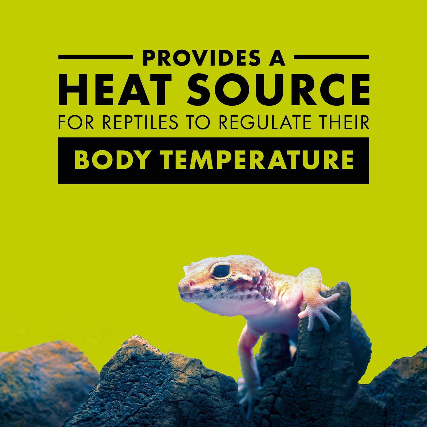 Zilla Day Blue Light Incandescent Bulb