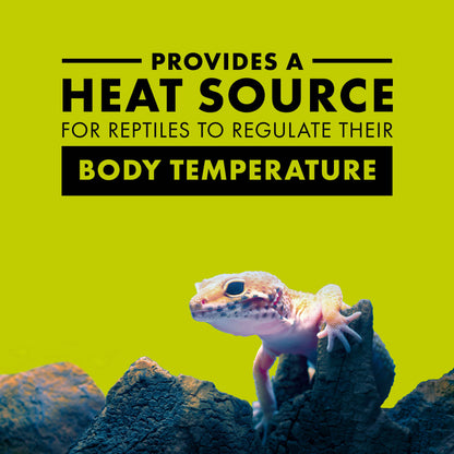 Zilla Day Blue Light Incandescent Bulb