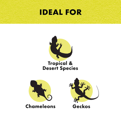 Zilla Day Blue Light Incandescent Bulb