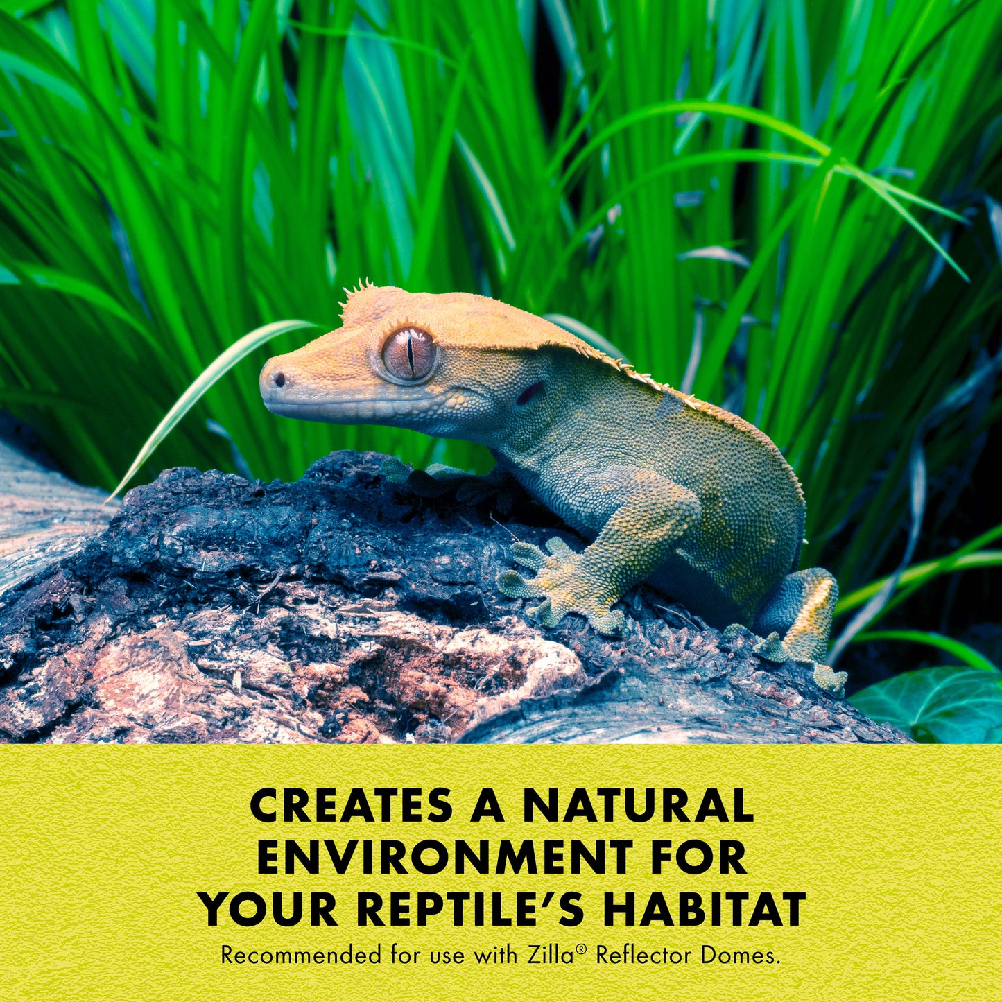 Zilla Day Blue Light Incandescent Bulb