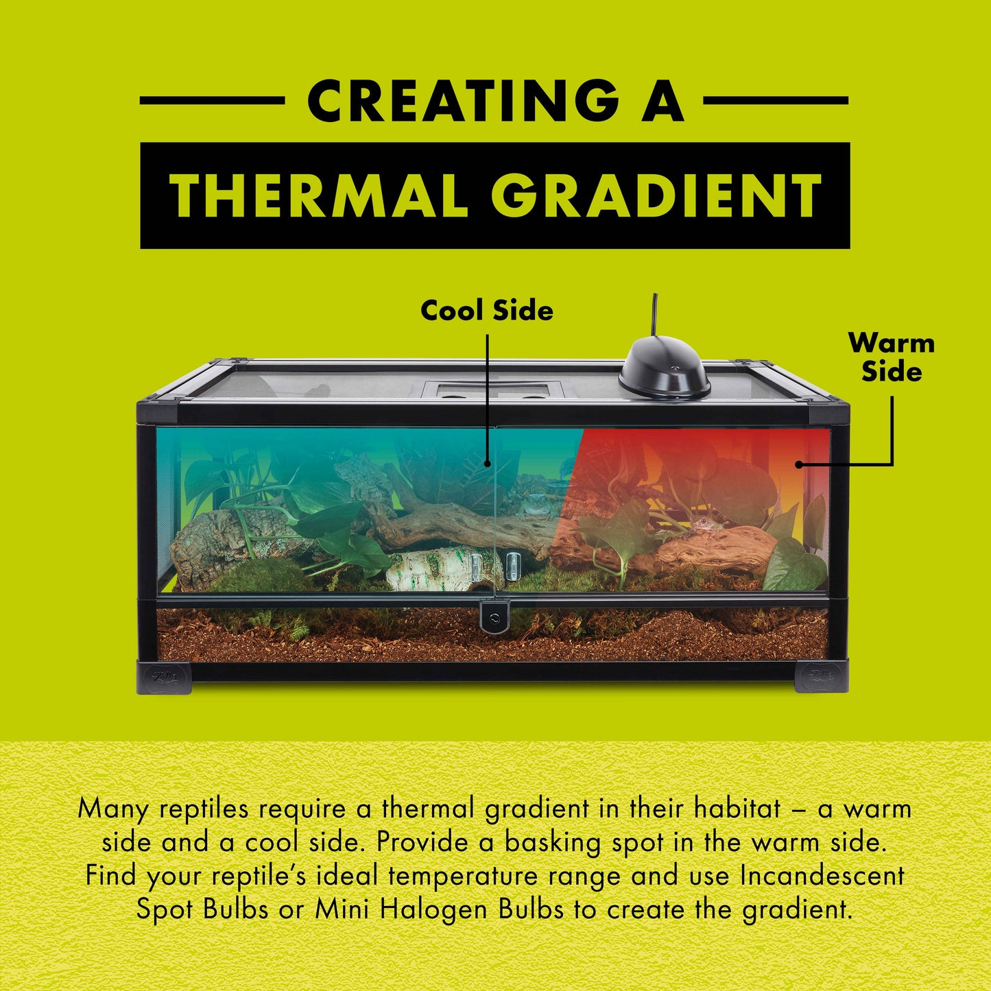 Zilla Day Blue Light Incandescent Bulb