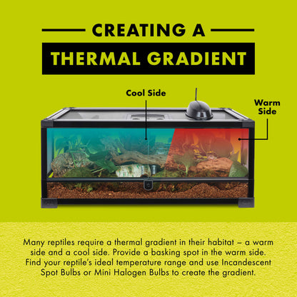 Zilla Day Blue Light Incandescent Bulb