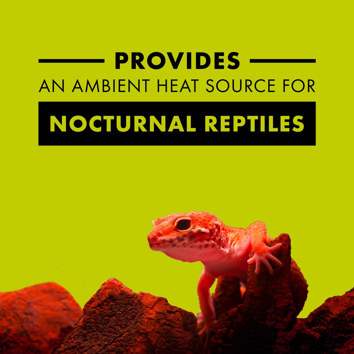 Zilla Night Red Heat Incandescent Bulb