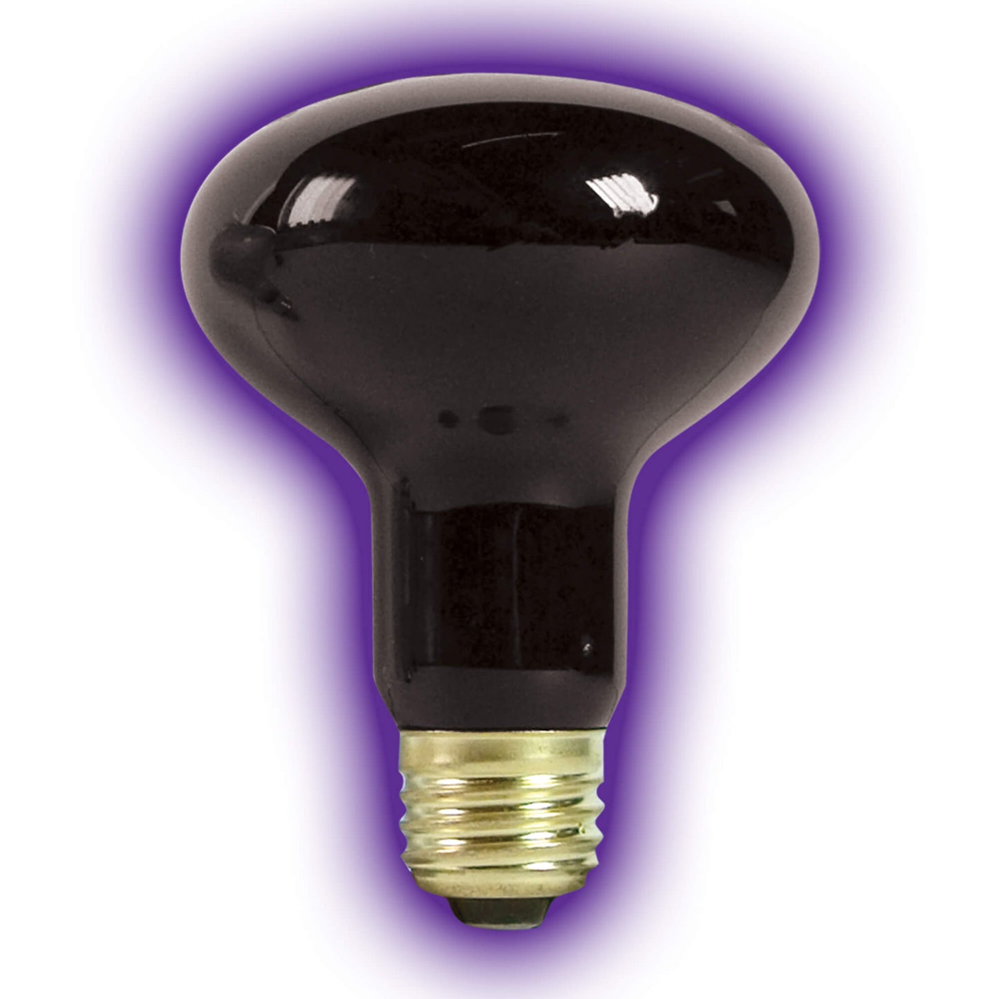 Zilla Night Black Heat Incandescent Spot Bulb