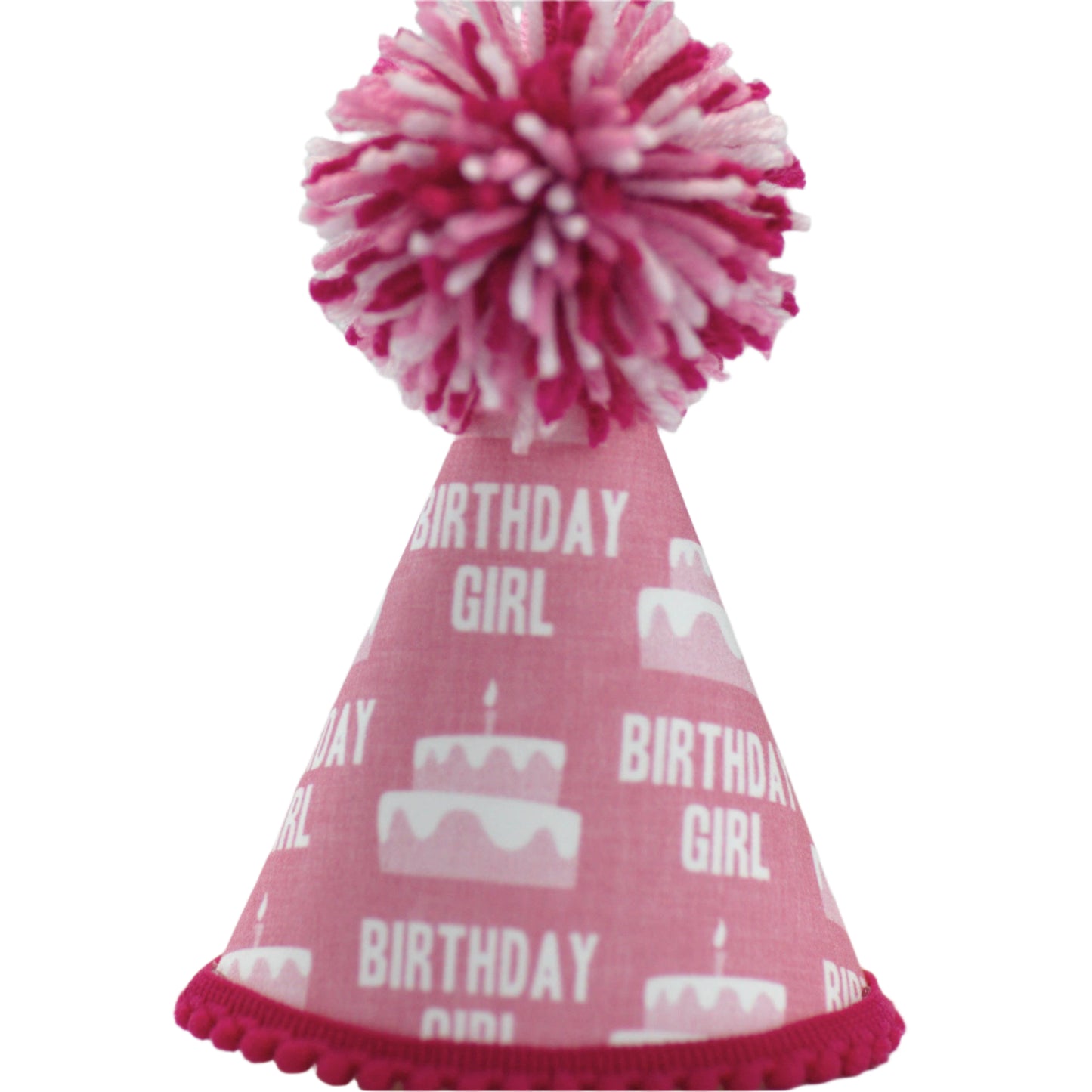 Pup Party Hats Birthday Girl Pink Party Hat: L