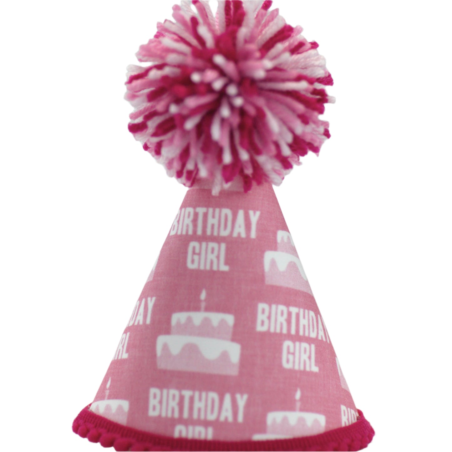 Pup Party Hats Birthday Girl Pink Party Hat: M